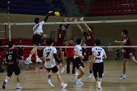 牛牛中期怎么判断（如何判断牛牛是否处于中期）