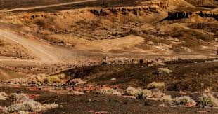 交易价值不输东契奇！巴特勒加盟后勇士有多强？盖伊：能打进西决5图